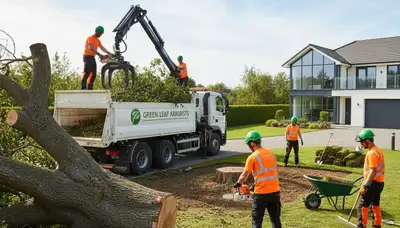 Professional landscaping and tree removal in Seattle, WA by Chop Chop Tree experts