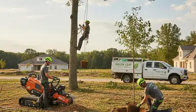 Arborist planting new tree in Seattle WA yard for Chop Chop Tree professional tree planting service