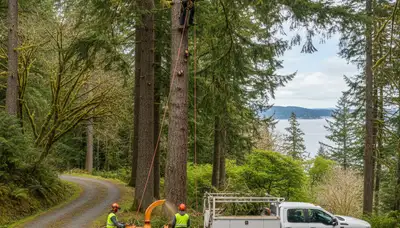 Professional tree removal service in Seattle, WA by certified arborists at Tree Services in Seattle